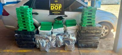 DOF apreende quase 300 quilos de drogas que seguiam para Minas Gerais