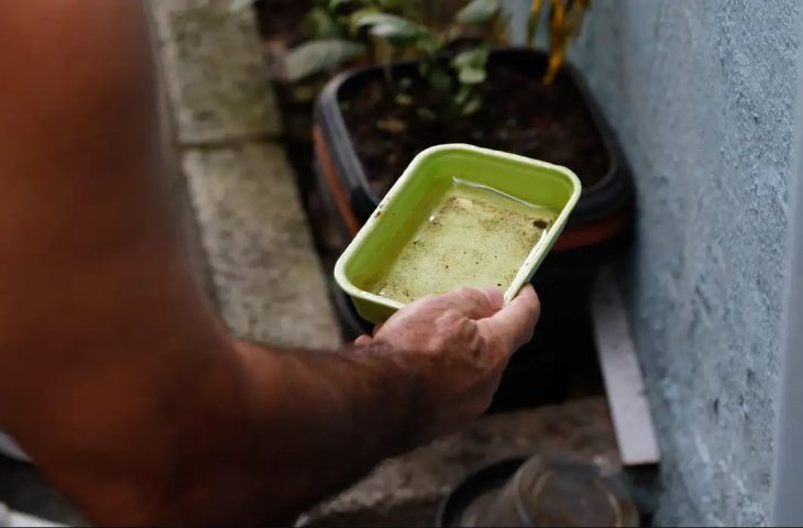 Estado articula para trazer vacina da chikungunya para MS e garante inclusão em estratégia piloto nacional