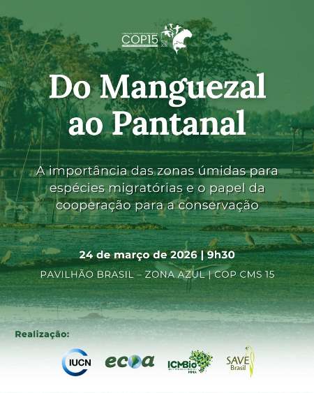 Pantanal, espécies migratórias e cooperação internacional: Ecoa participa de debate na COP15