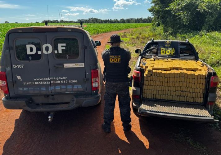 DOF apreende quase uma tonelada de maconha em Guia Lopes da Laguna