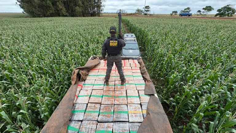 DOF apreende mais de 6 toneladas de maconha após perseguição em Dourados