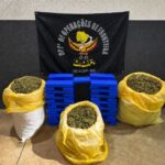 DOF prende dupla com maconha e skunk após perseguição em Tacuru