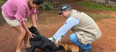 Vacinação antirrábica ultrapassa 520 animais vacinados em Caracol e Alto Caracol