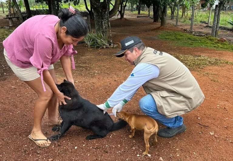 Vacinação antirrábica ultrapassa 520 animais vacinados em Caracol e Alto Caracol