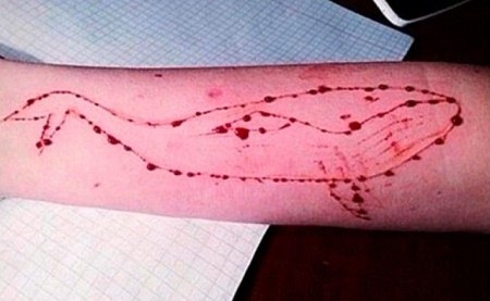 Jogo da Morte, Baleia Azul chega nas escolas estaduais de Campo Grande