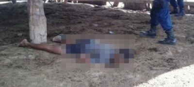 Trabalhador rural morre pisoteado por vaca dentro de curral em Bela Vista