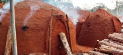 PMA fecha carvoaria, autua carvoeiro em R$ 3,5 mil e apreende 2m³ de lenha e 24 m³ de carvão ilegais