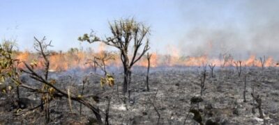 Queimada pode gerar multa de R$ 24 mil, alerta Policia Ambiental