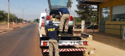 Foragido da Justiça é preso com 228 quilos de maconha no porta-malas de carro