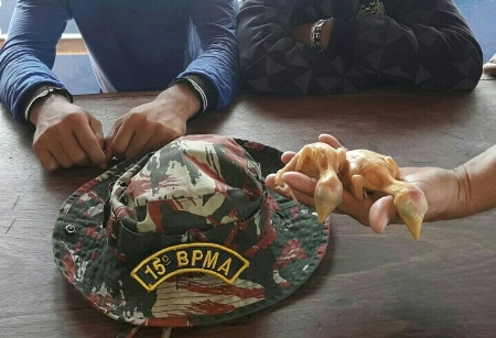 PMA autua dois paraguaios presos pela PM de Bela Vista traficando filhotes de tucanos