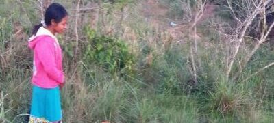 Em Bella Vista Norte, após discussão em fazenda, filho mata próprio pai e acaba preso