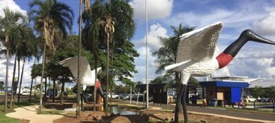 Tuiuiús do aeroporto já têm nomes