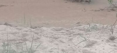 PMA autua fazendeiro em R$ 20 mil por erosões e degradação de matas ciliares e assoreamento de córrego e do rio Negro