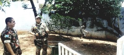 PMA captura e recolhe ao CRAS jiboia de 1,5 metros em bairro na Capital