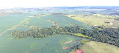 PMA de Jardim autua 5º produtor rural por desmatamento ilegal neste início de ano