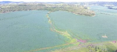 PMA de Jardim autua o décimo fazendeiro por desmatamento ilegal em vistorias realizadas na operação Cervo-do-Pantanal