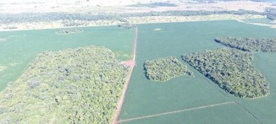 PMA autua em R$ 28 mil produtor rural por desmatamento ilegal de 93,5 hectares de vegetação nativa
