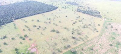PMA de Jardim autua em R$ 6 mil, nono fazendeiro por desmatamento ilegal em vistorias realizadas na operação Cervo-do-Pantanal