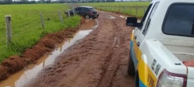 Tráfico: Motorista com destino a São Paulo é preso com 366 kg de maconha