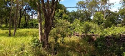 PMA de Jardim autua o 11º fazendeiro por desmatamento ilegal de 22 hectares