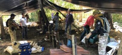 Polícia paraguaia apreende mais de  2 toneladas de maconha em acampamento