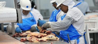 Celulose, carne bovina e minério de ferro puxam para cima exportação industrial de MS