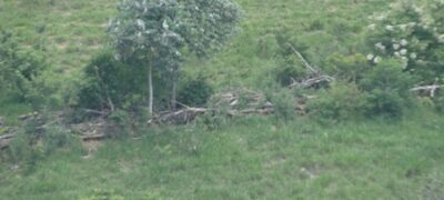 PMA de Jardim autua fazendeiro campo-grandense em R$ 17,5 por desmatamento ilegal de 58 hectares