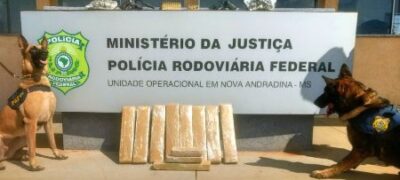 Polícia apreende super maconha,  armas e munições em ônibus