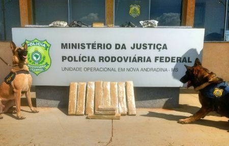 Polícia apreende super maconha,  armas e munições em ônibus