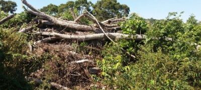 PMA de Bela Vista autua fazendeiro por desmatamento ilegal de 9 hectares de vegetação nativa