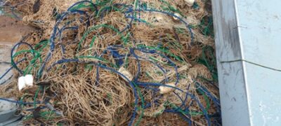 PMA de Porto Murtinho e Jardim apreendem 300 metros de redes de pesca e espinheis no rio Apa na fronteira