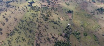 PMA de Jardim autua proprietária rural por desmatamento ilegal de 5 hectares