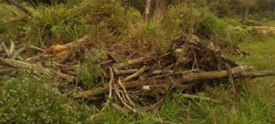 PMA de Bela Vista autua pecuarista em R$ 30,3 mil  por desmatamento ilegal de 100 hectares de vegetação nativa
