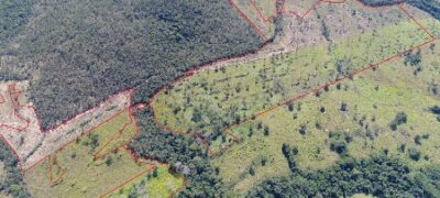 PMA autua fazendeiro em R$ 27 mil por desmatamento ilegal de 27 hectares de vegetação nativa em Bonito