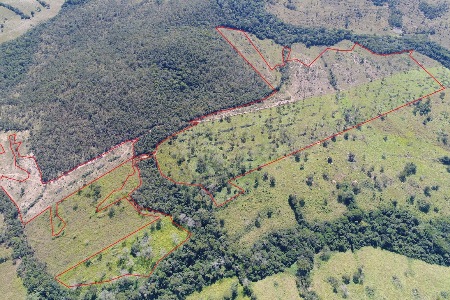PMA autua fazendeiro em R$ 27 mil por desmatamento ilegal de 27 hectares de vegetação nativa em Bonito