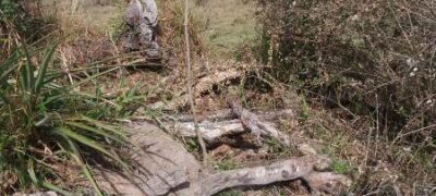 PMA de Bela Vista autua fazendeira em R$ 7 mil por desmatamento ilegal de 23 hectares de vegetação nativa