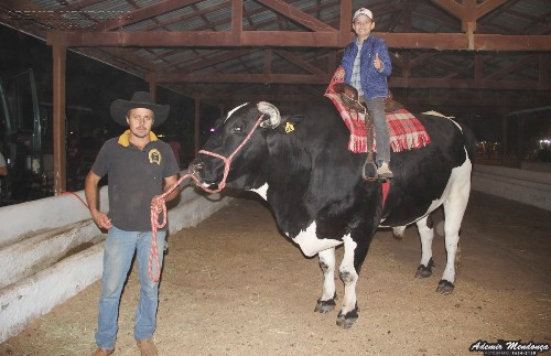 Maior boi adestrado do Brasil vira atração na Expobel