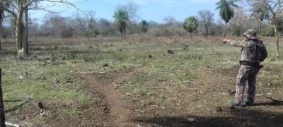 PMA autua produtor rural por desmatamento e exploração ilegal de madeira e apreende 293 estacas de aroeira