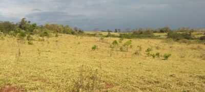 PMA de Jardim autua fazendeiro campo-grandense em R$ 7,8 mil por desmatamento ilegal de vegetação nativa em Maracaju