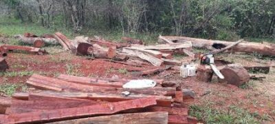 PMA autua infrator em R$ 2 mil por exploração de madeira com uso de motosserras ilegais