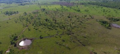 PMA de Jardim autua pecuarista por desmatamento ilegal de 176 hectares durante a operação Cervo-do-Pantanal