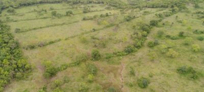 PMA de Jardim autua fazendeiro em R$ 11,6 mil por desmatamento ilegal de 38 hectares