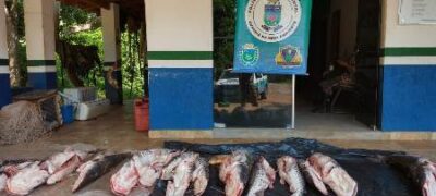 PMA prende e autua em R$ 5 mil dois pescadores pescando com tarrafa em cachoeira e apreende 183 kg de pescado.
