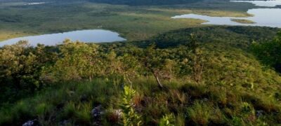 Exposição fotográfica online celebra o Dia do Pantanal