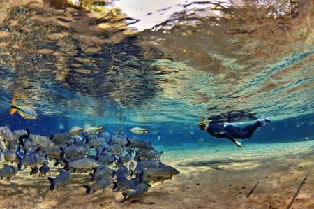 Recanto Ecológico Rio da Prata e Lagoa Misteriosa são finalistas  no Prêmio ECO 2018