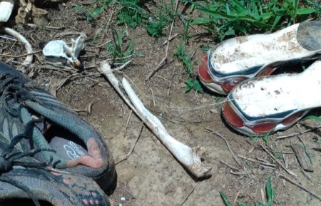 Ossada humana é encontrada enterrada em fazenda