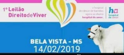 Rodada de leilões de 2019 começa beneficiando o Hospital de Amor de Barretos