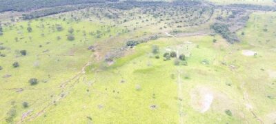 PMA autua 155 e aplica mais de R$ 4 milhões em multas por desmatamentos ilegais de 3.653 hectares no ano de 2018