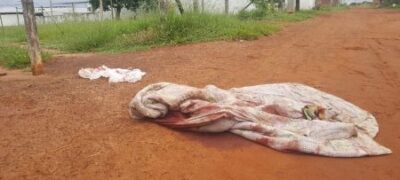 Tribunal do crime: corpo de homem é encontrado abandonado enrolado em edredom