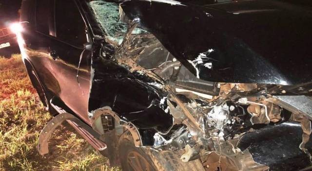 Animais soltos na pista causa acidente entre Amambai e Caarapó